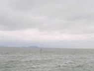 為防汛巢湖排水近13億立方米 