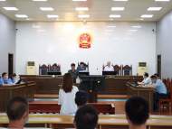 蕪湖8人“套路貸”涉惡案一審宣判 首犯獲刑9年8個(gè)月