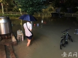 合肥翡翠路一小时降水量达88毫米