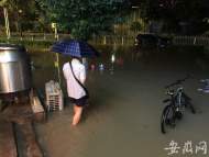 合肥翡翠路一小時降水量達88毫米