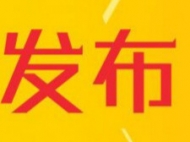 合肥開展人力資源市場(chǎng)秩序集中整治 
