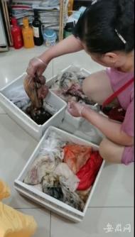 合肥一住戶不在家冰箱斷電十二天  數千元食物腐壞該誰來買單？