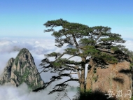 中國5A景區2019年度百強榜發布 黃山位列前三