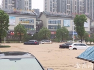 短時強降雨襲擊池州青陽縣城 部分地段出現“看海”模式