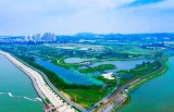 巢湖三大湿地2020年将完成修复