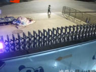 淮南4歲女童凌晨出門父母渾然不覺 幸好民警發現將其平安送回