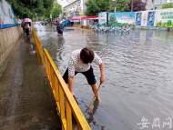 鼓掌！道路上積水嚴重，合肥這位熱心大姐自發排積水