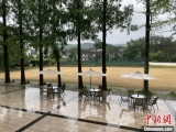 浙江遂昌：乡村振兴需“多点开花” 