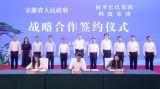 滁州与阿里巴巴集团签署合作协议