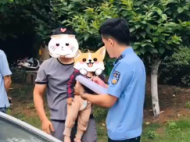 淮南一幼童被鎖車內 民警對家長進行批評教育