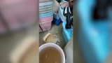 因暴雨排水不畅 合肥西园3号路沿街多个门面房被水淹