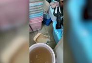 因暴雨排水不暢 合肥西園3號(hào)路沿街多個(gè)門面房被水淹