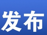 合肥市清理吊销2019年度“僵尸企业”1.7万余户