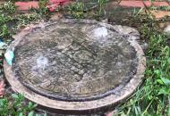 合肥金斗路污水橫流多天 路面長滿青苔