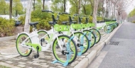 朱向春:從自行車到自行車