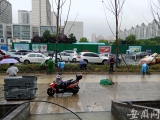 合肥翡翠路积水已消退 绿化工人正补植毁坏的绿植