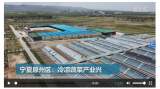 宁夏原州区：冷凉蔬菜产业兴 