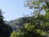 九華山風(fēng)景區(qū)5年內(nèi)對(duì)援鄂醫(yī)療隊(duì)員不限次免門票