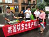 紫蓬镇：“安全生产月”宣传氛围浓 “安全第一”理念深入人心