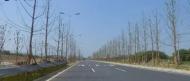 合肥這兩條重要道路快速化改造即將開工