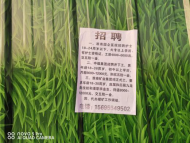15695549502等機主注意！你們的號碼擬被暫停使用！ 