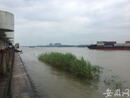長(zhǎng)江安慶站逼近設(shè)防水位 距設(shè)防水位僅差0.05米