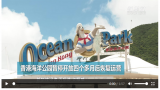 香港海洋公园暂停开放四个多月后恢复运营