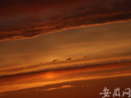 夏日夕陽染紅合肥天空（組圖）