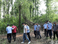 一團伙在紫蓬山國家森林公園濫伐林木100多噸  