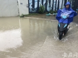合肥石笋路机动车车道积水已退去 部分低洼路段仍有积水
