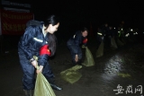 淝河镇巾帼志愿者战疫事抗洪水：有信念、有担当、有锋芒