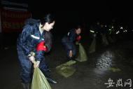 淝河鎮巾幗志愿者戰疫事抗洪水：有信念、有擔當、有鋒芒