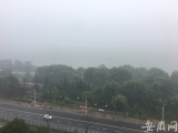 9月16日~17日安徽这些地方有暴雨 局部大暴雨
