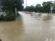 合馬路半湯段積水嚴重 當地正全力確保道路暢通