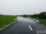 环巢湖大道严店乡入口往南200米处道路被淹没