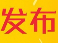 安徽省追逃工作再發力 連續追回3名外逃人員 