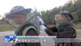 上海超市阿姨滅蚊13年 研究蚊蟲作息表