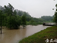 實拍合肥經(jīng)開區(qū)調(diào)蓄塘再次超水位