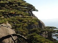 黃山北大門道路恢復通行 西海大峽谷仍臨時關閉