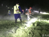 合肥大圩镇彻夜清除杂草 守护南淝河大堤  