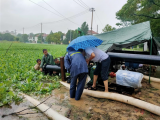 图｜巢湖中庙严防死守，力保集镇安全
