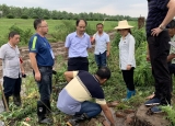 安庆经开区老峰镇：江防一线，乘风破浪的“姐姐们”