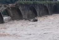 旌德縣普降大雨河水暴漲  古橋被洪水沖壞