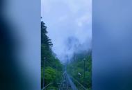 18歲以下境內游客上黃山免門票 景區每天可接待2.5萬人