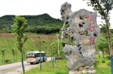巢湖市革命老区“七一”开通公交专线