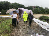 安巢经开区：政法办（信访局）防汛在行动