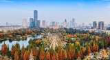 增長0.3%！合肥市廬陽區上半年經濟發展逆勢上揚
