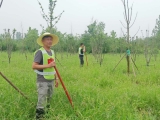 宜秀区大桥街道圣埠社区：特殊的防汛卫士