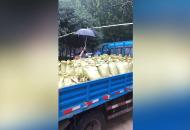 南淝河水位超警戒1米 大圩鎮(zhèn)24小時巡查監(jiān)測大堤安全