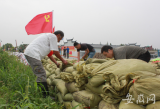 南淝河老党员老水利心系汛情  组团来当巡堤“顾问”